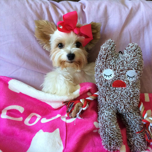 Lots of Breeds - Personalized Dog Blanket, The Smoothe Store